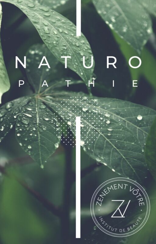 Naturopathe Toulouse, consultations naturopathie